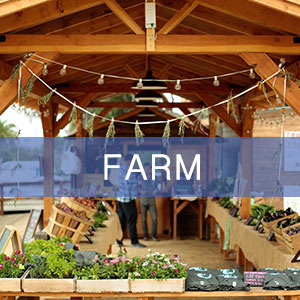 Beautiful and climate-sturdy farm stand with solar installation to power lights and refrigeration.